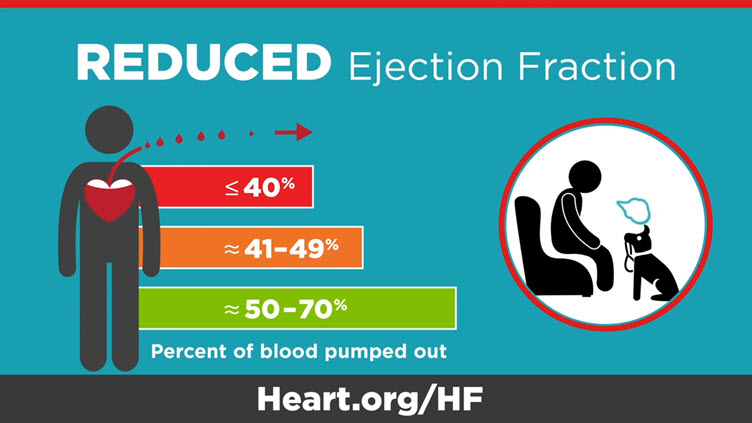 What is ejection fraction video